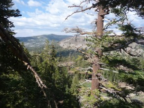 A view of the world normally reserved for birds. (Zipping through Lake Tahoe)