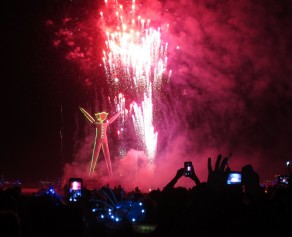 BURN! (Burning Man 2015)