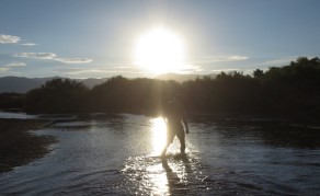 Wading through Walker River (Walker & Rodeo)