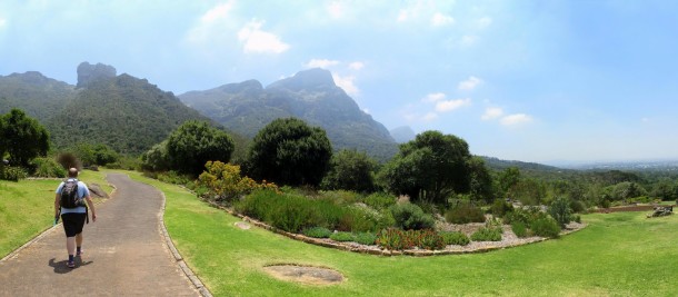 Botanical Gardens (Cape Town)